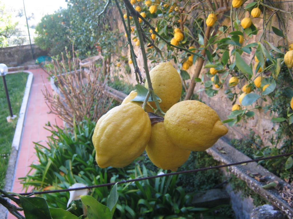 Holiday Home Il Borgo Degli Agrumi Uzzano Екстер'єр фото