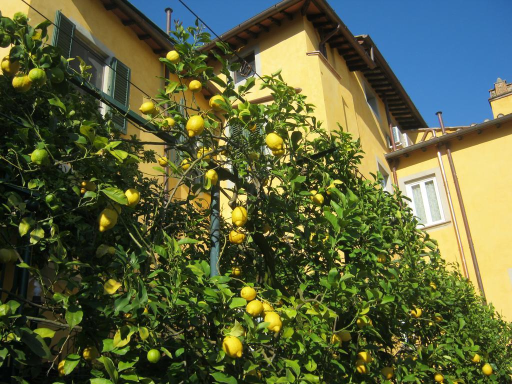 Holiday Home Il Borgo Degli Agrumi Uzzano Екстер'єр фото